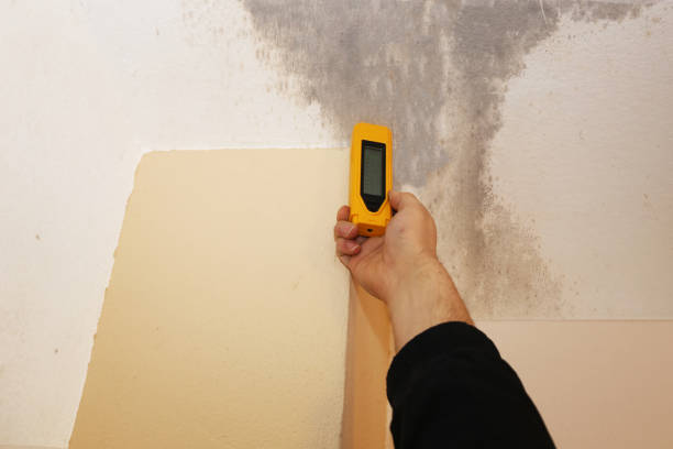 Best Mold Remediation for Healthcare Facilities  in Donald, OR