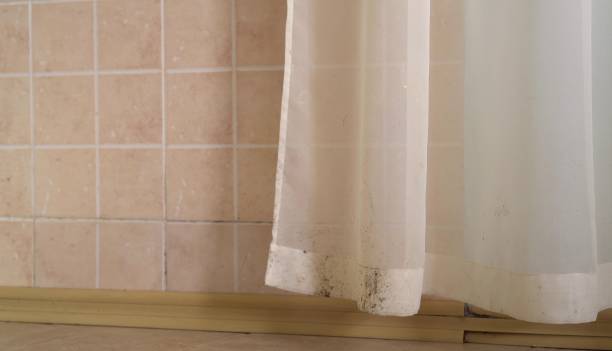 Best Mold Prevention Services  in Donald, OR